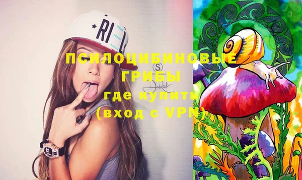 Альфа ПВП Осинники