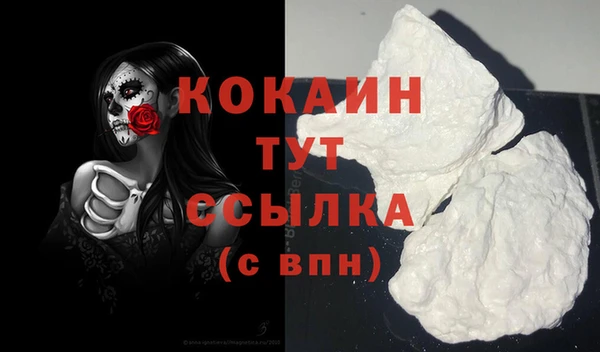 Альфа ПВП Осинники
