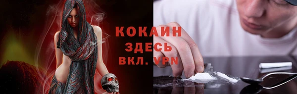 дурь Осташков