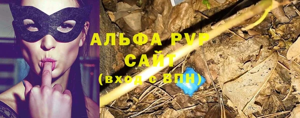 Альфа ПВП Осинники