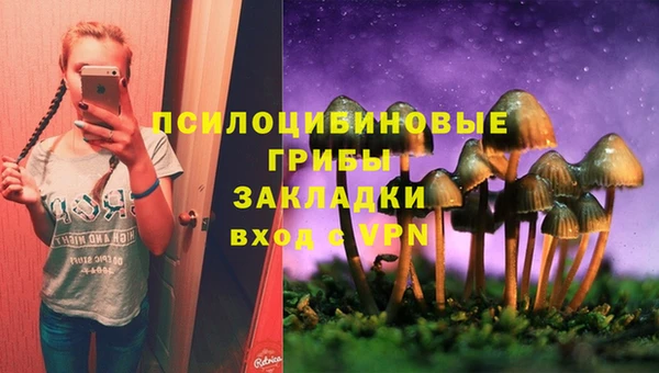 дурь Осташков