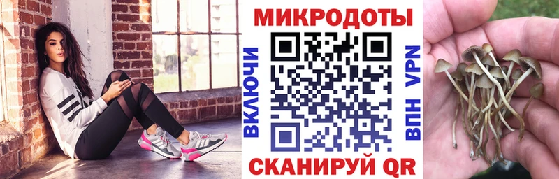 Псилоцибиновые грибы GOLDEN TEACHER Ядрин